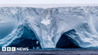 planetnews
